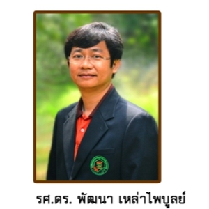 Prof.Dr. Pattana Laopaiboon